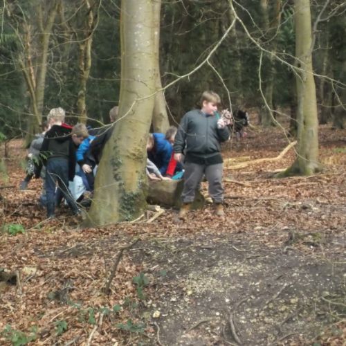 QE Country Park 023
